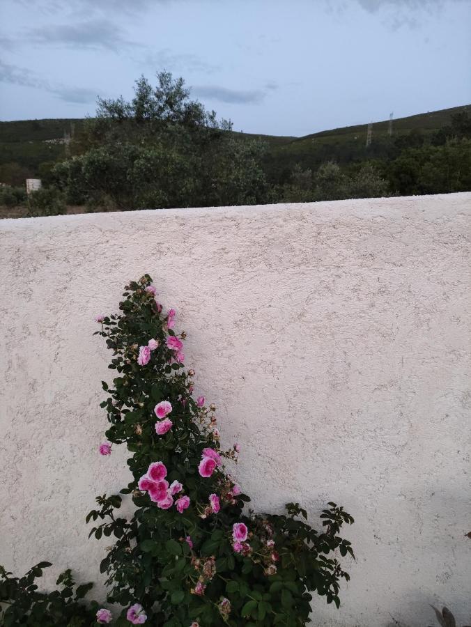 Casa Dos Vales 11 Villa Porto de Mós Eksteriør billede