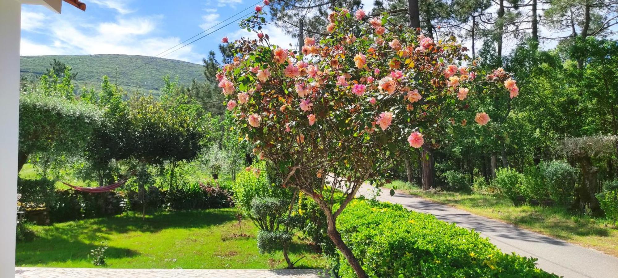 Casa Dos Vales 11 Villa Porto de Mós Eksteriør billede